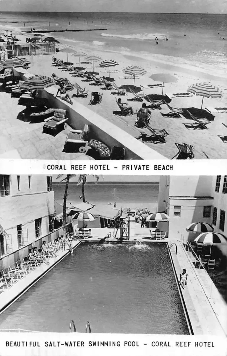 coral reef postcard